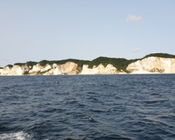 The Chalk Cliffs of Møn