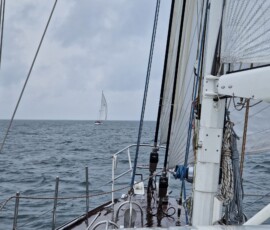 Noch liegt Despina vorn