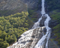 The Suitor – Friaren