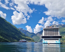 Plenty happening here: MSC Euribia and Hurtigruten ships
