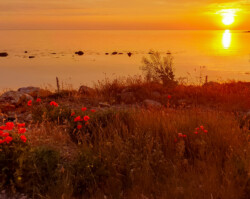 You can often enjoy breathtaking sunsets here