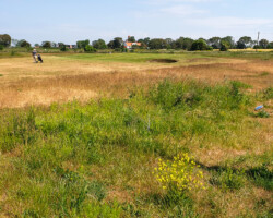 A golf course in a natural setting