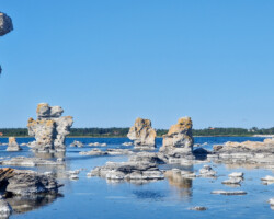 Raukar bei Gamla Hamn