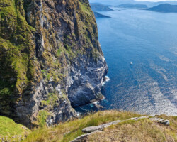 Gannet colony – 250 metres above the open sea
