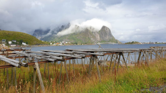 Kabeljau-Gestelle überall