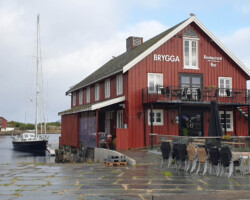 Die Brygga in Kabelvåg