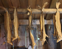 Dried cod