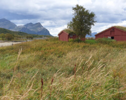 Back in Kjerringøy