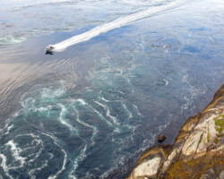 You need a few horsepower here!