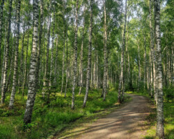 During the bike ride