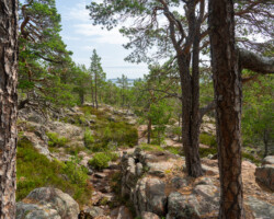 Klettern war angesagt