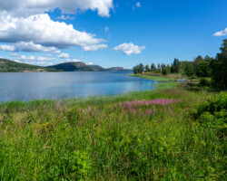 Beautiful landscape near Mjällom
