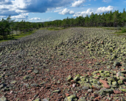 Striped gravel and stone bands, traces of earlier shorelines.