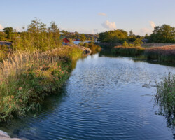 Peaceful evening atmosphere