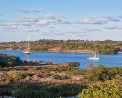 Anori in Sandvik, Kokär