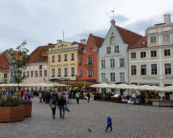 Town Hall Square in Tallinn