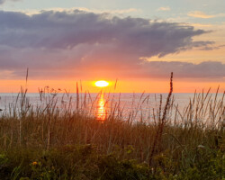 Beautiful sunset in Dirhami
