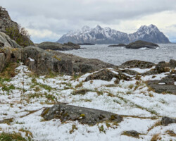 Lofoten in winter