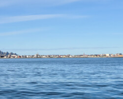 Blick zurück auf Andenes
