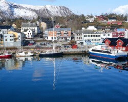 Anori in the harbour of Stokmarknes