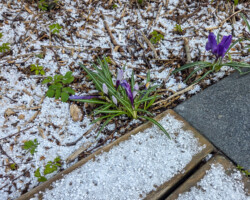 ...dann kam der Winter zurück