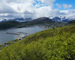 View over Skjervøy Harbour