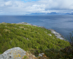 Küstenfestung Engnes bei Skjervøy