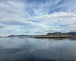 Boat trip to the bird cliffs