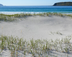 With sand dunes