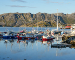 There are almost only fishing boats here as well