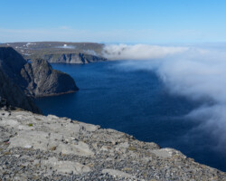 The sea is still covered in fog