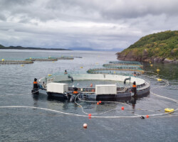 The modern salmon farming facility